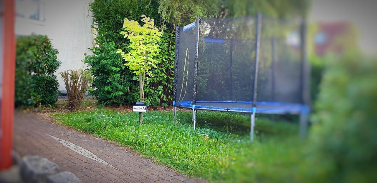 Lichtdurchflutetes Zimmer - Kaeppele Waldbuttelbrunn Exteriör bild